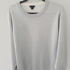 Jcrew Womens sliver Sweatshirt L
